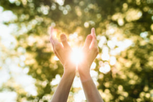 6 day health reset